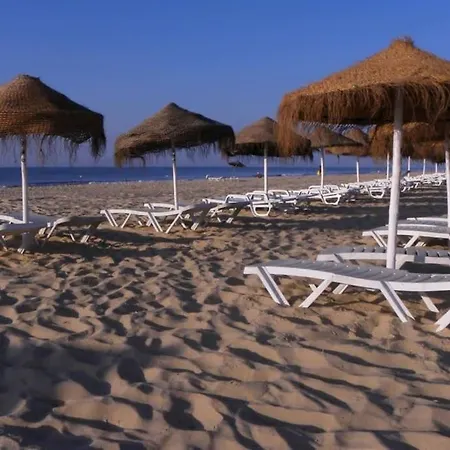 T1 מנטה רוטה