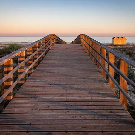 דירה T1 מנטה רוטה